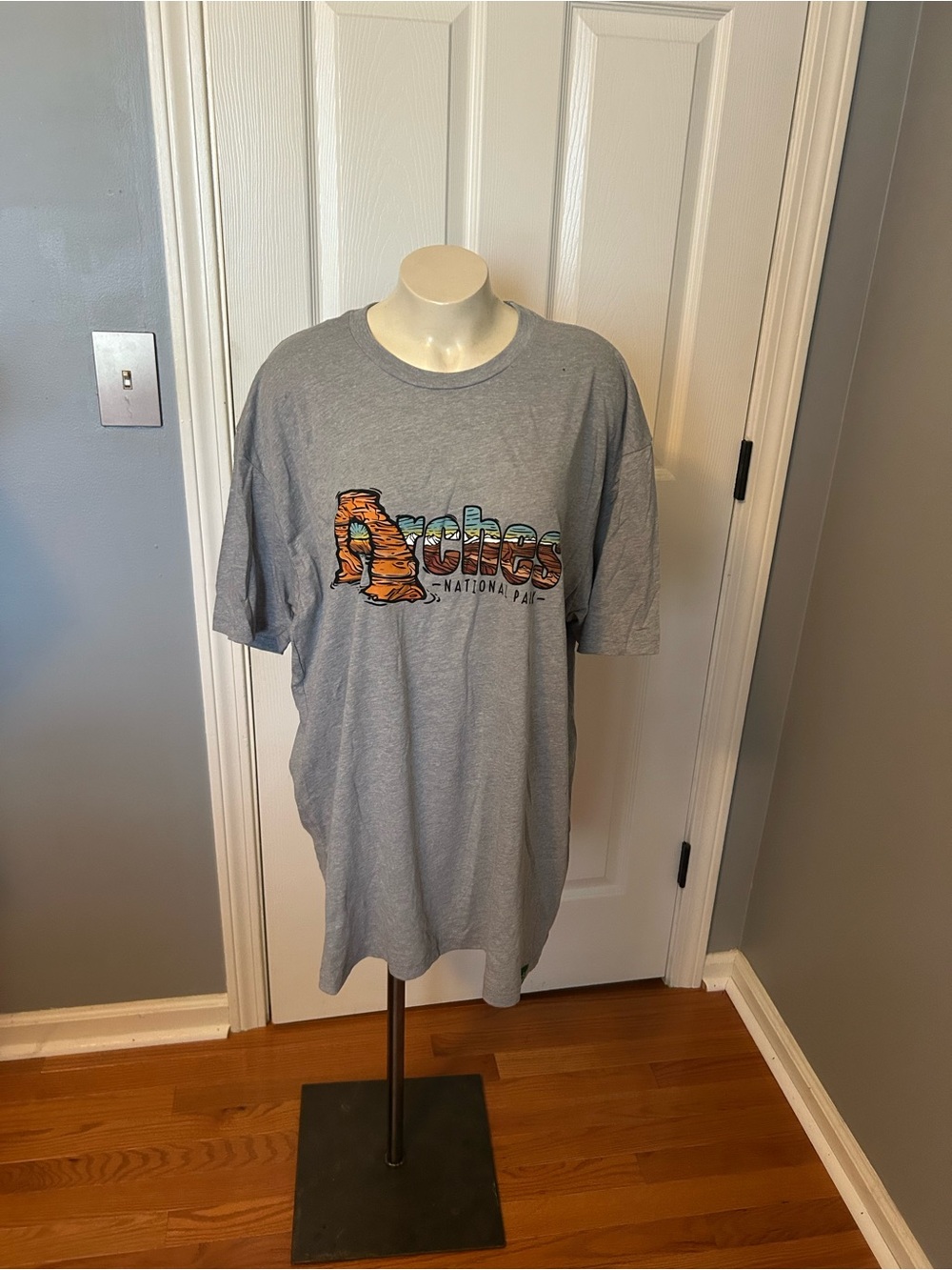 Gray Graphic Short Sleeve Tee with Desert Logo